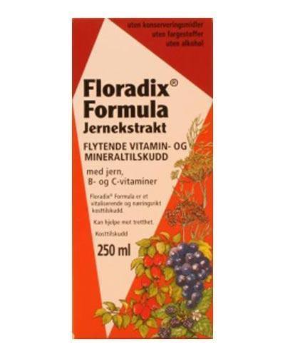Floradix Formula jernekstrakt 250ml - Mossapotek